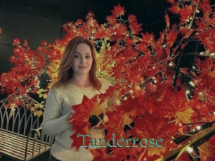 Tanderrose