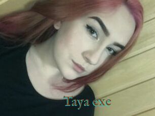 Taya_exe