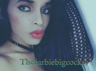 Thebarbiebigcock69