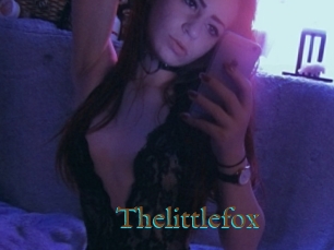 Thelittlefox