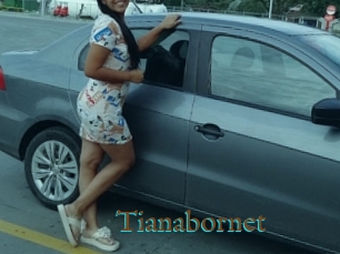 Tianabornet