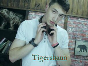 Tigershaun