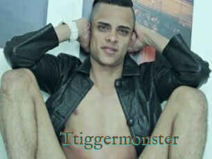 Ttiggermonster