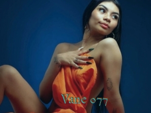 Vane_077