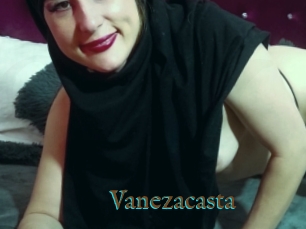 Vanezacasta