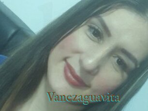 Vanezaguavita