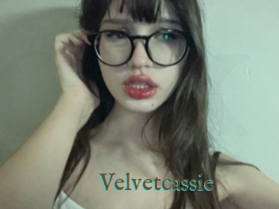 Velvetcassie