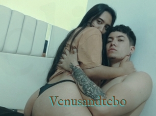 Venusandtebo