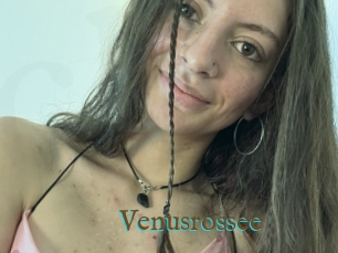 Venusrossee