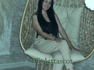 Violettascot