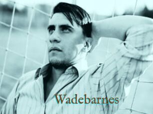 Wadebarnes