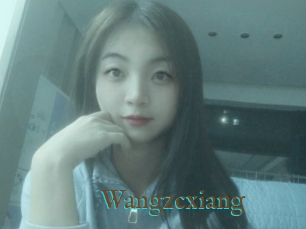 Wangzcxiang