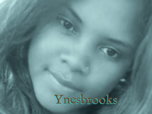 Ynesbrooks