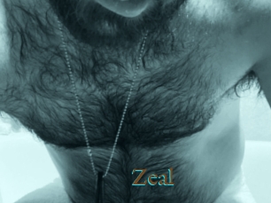 Zeal